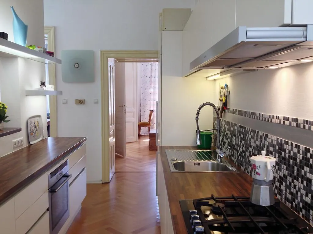 Big Vintage Style Flat Near Schonbrunn Apartment Vienna