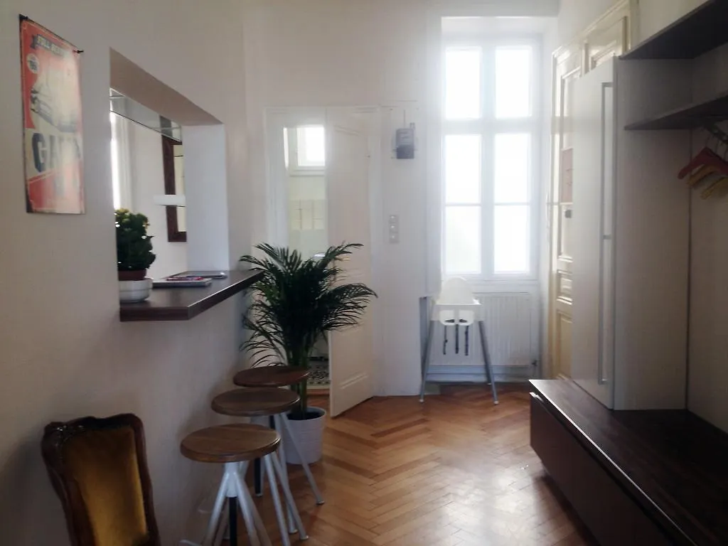 Big Vintage Style Flat Near Schonbrunn Apartment Vienna